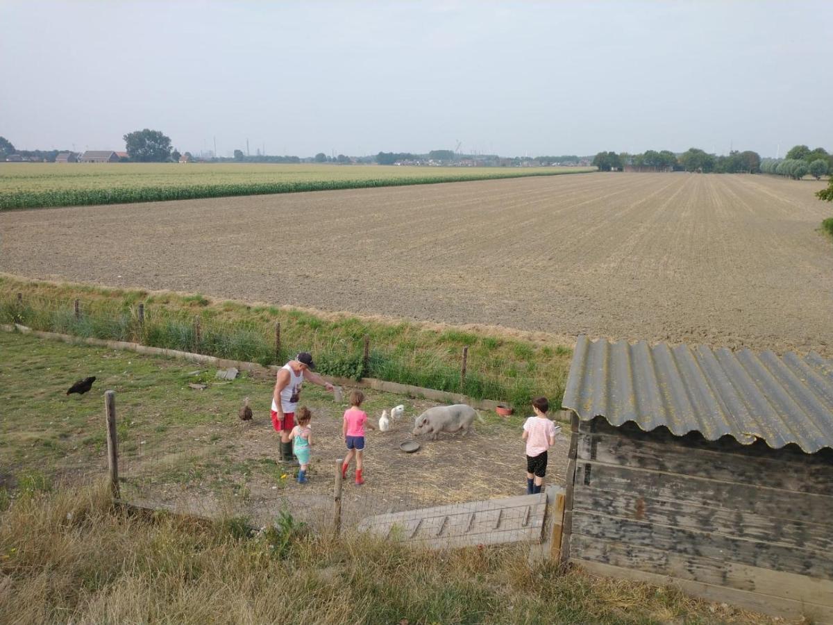 Lewedorp“In Oans Oefje” Parel In De Polder!アパートメント エクステリア 写真