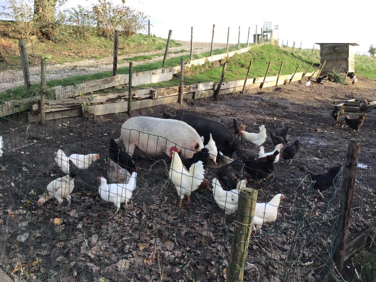 Lewedorp“In Oans Oefje” Parel In De Polder!アパートメント エクステリア 写真